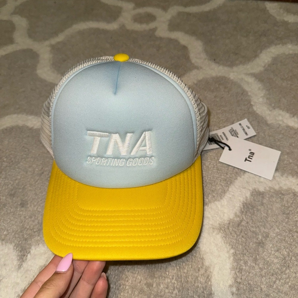 Aritzia Hat
